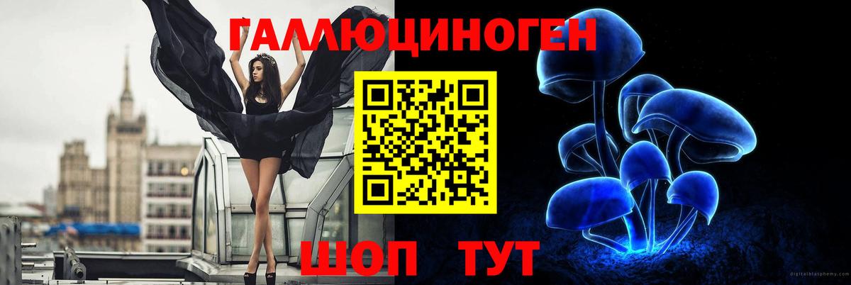 сколько стоит  Вход с VPN  Псилоцибиновые грибы мицелий  Мариинск  Галлюциногенные грибы GOLDEN TEACHER 